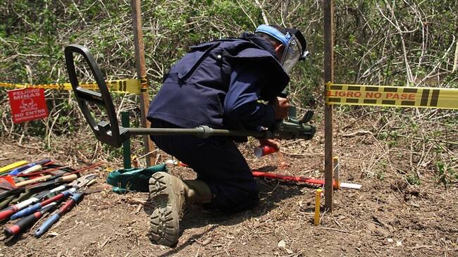 Imagen de referencia. Foto: Colprensa - Luisa González