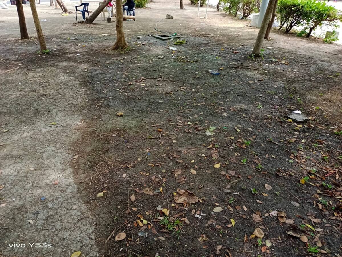 Reclaman intervención del parque en Monumento a los Zapatos Viejos de Cartagena