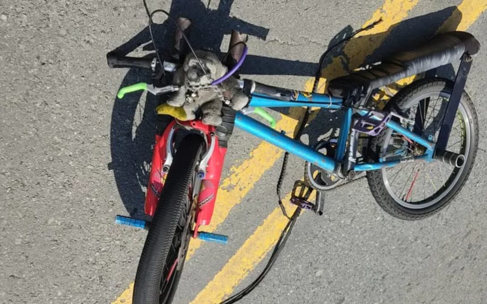 Fotografía suministrada