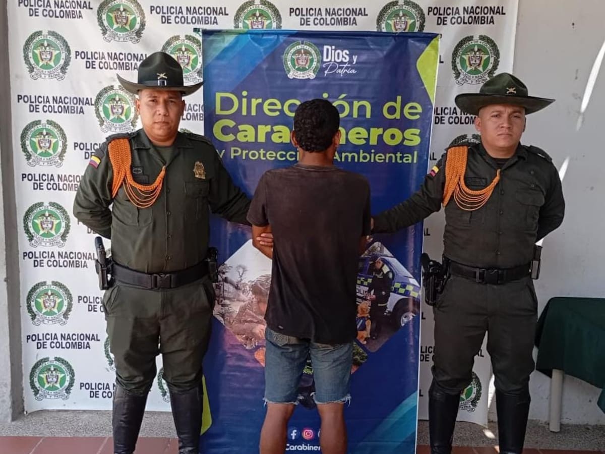 Murió perro en Magangué tras recibir varios garrotazos: hay un capturado