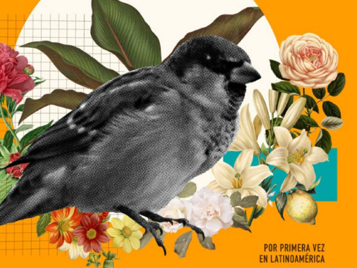 Bogotá recibirá el Cineposium 2022