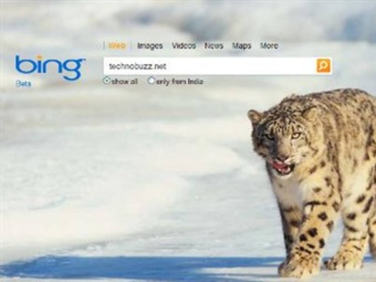 Bing cambia el texto por imágenes en sus resultados de búsqueda