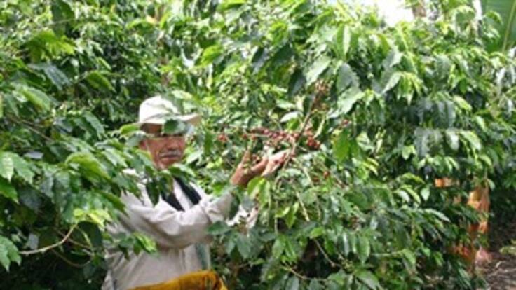 Dignidad Cafetera en el Quindío prepara foro Agrario, previo al paro del 19 de agosto