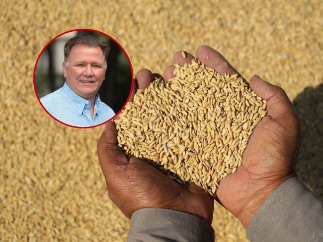 “No siembren arroz, no es rentable”: polémica propuesta de minAgricultura