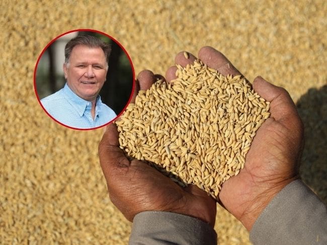 “No siembren arroz, no es rentable”: polémica propuesta de minAgricultura