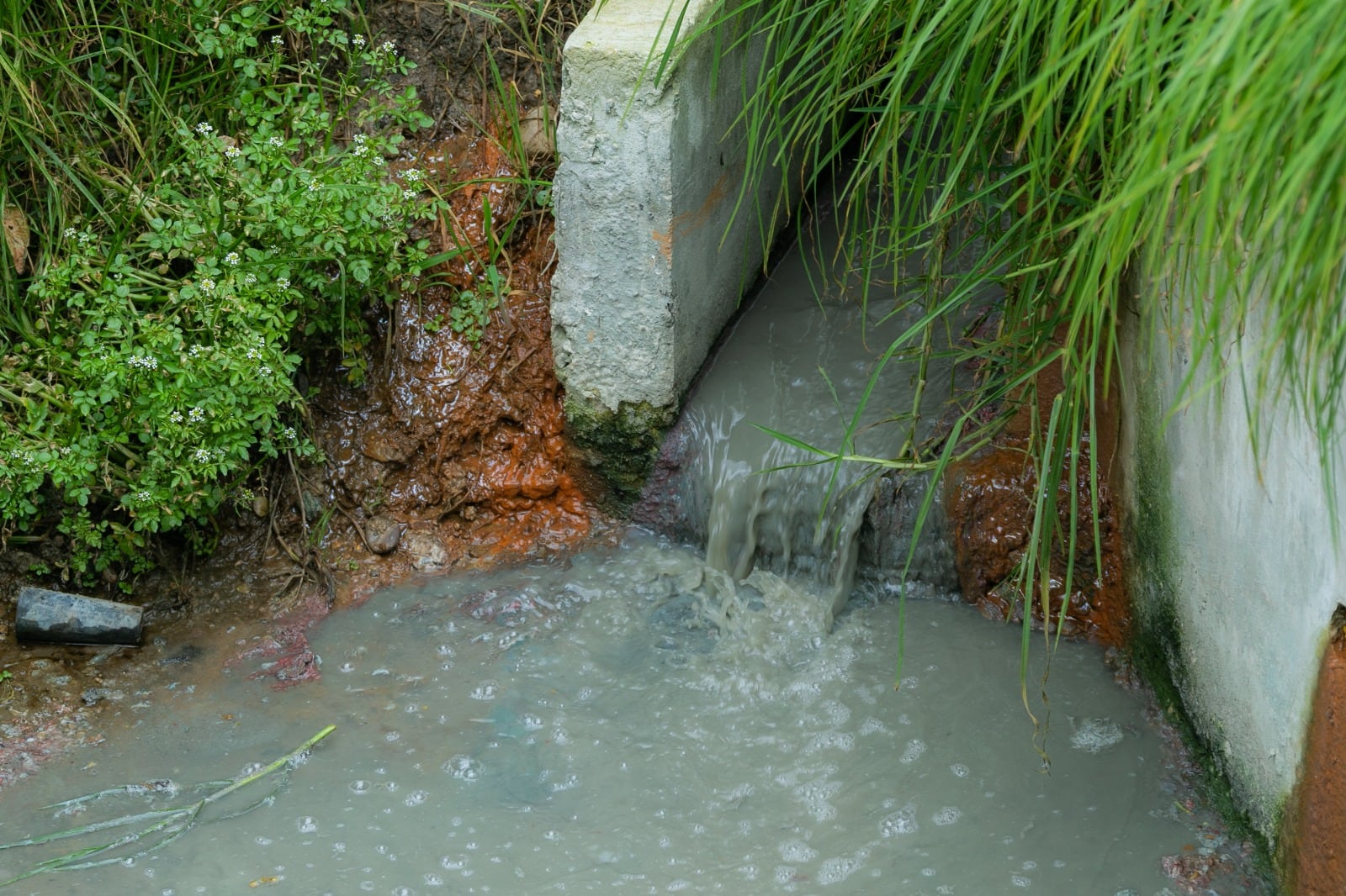 Foto: CAR Cundinamarca. 