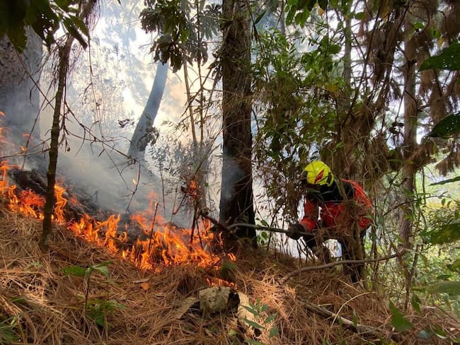 De 2020 a la fecha van 516 sucesos relacionados con incendios de cobertura vegetal en Medellín. Foto: Dagrd.