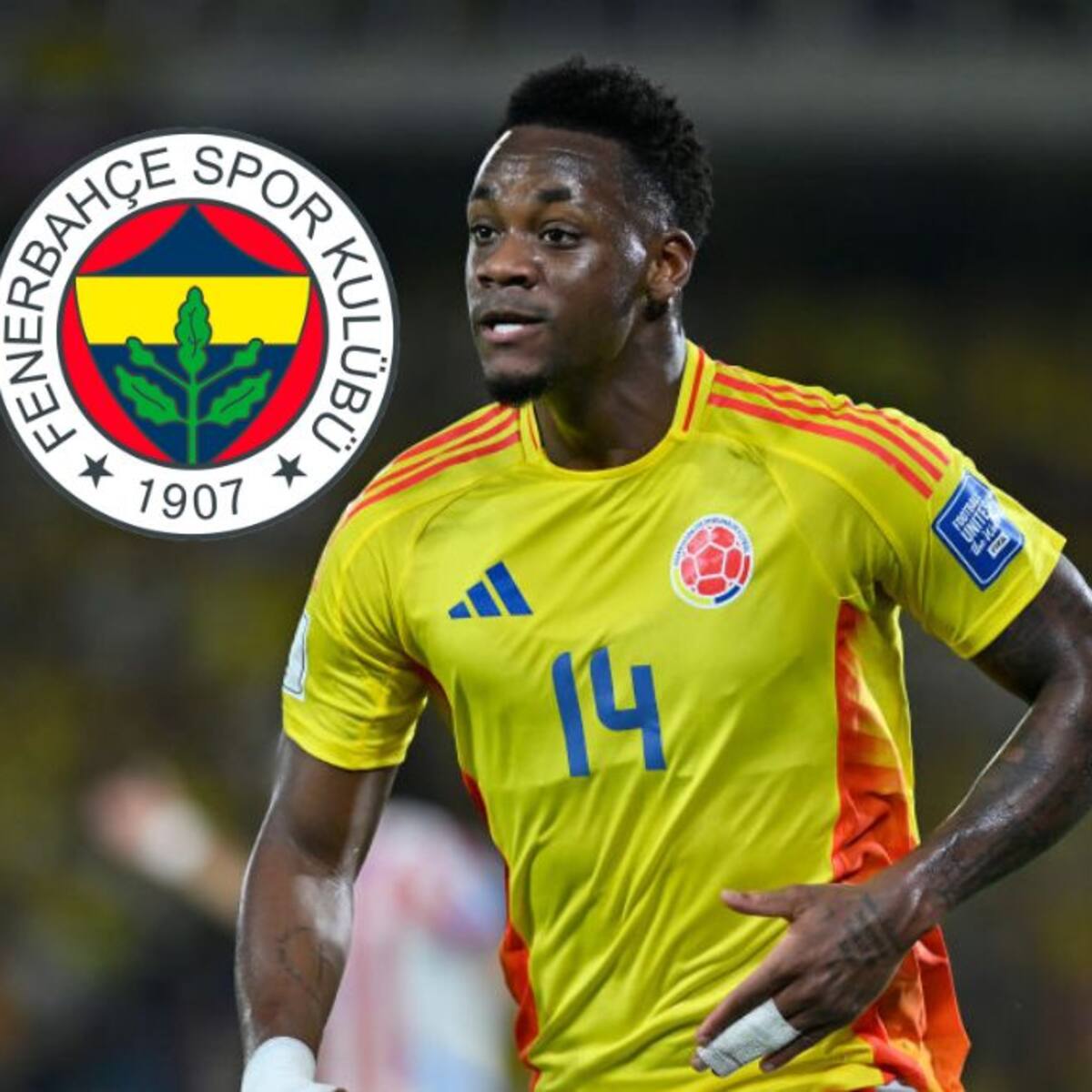 No es solo Jhon Durán: Otro jugador de Selección Colombia podría llegar al Fenerbahce de Turquía