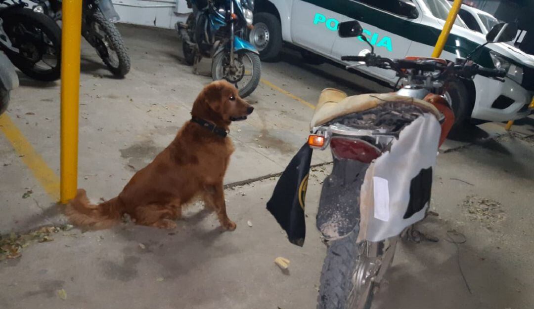 Frustran posible atentado contra la población civil en Norte de Santander