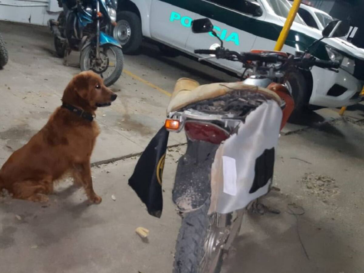 Frustran posible atentado contra la población civil en Norte de Santander