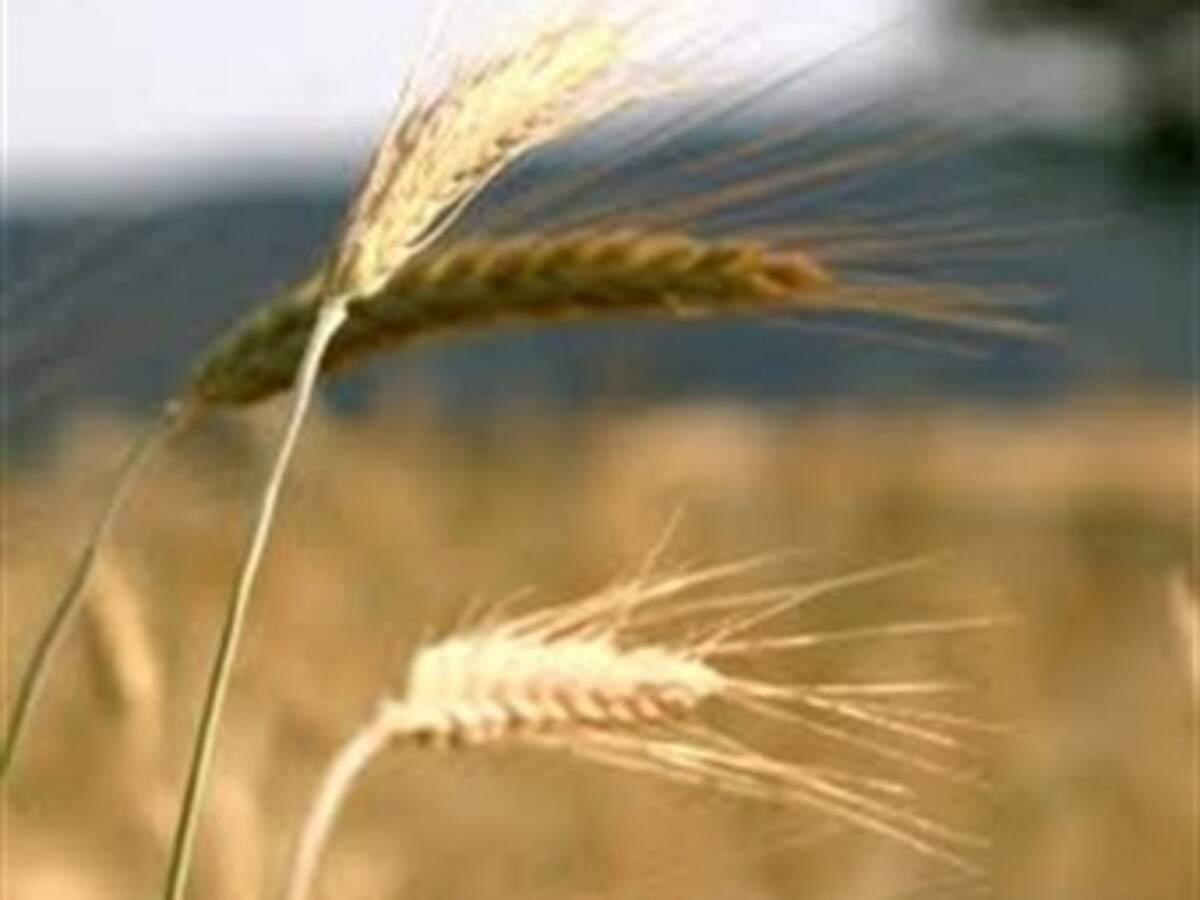 Ecuador apuesta por una actividad agropecuaria sostenible en Galápagos