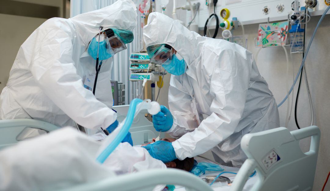 Imagen de referencia