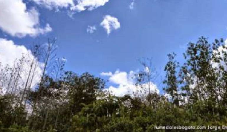 Reserva Van der Hammen