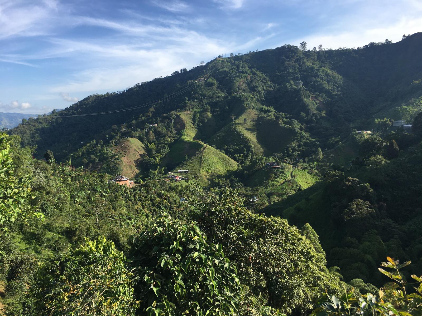 Foto: Colprensa / Wikiloc