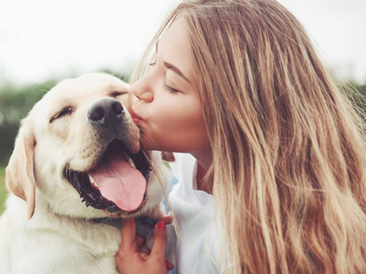 Los perros que ayudan a mejorar la salud mental