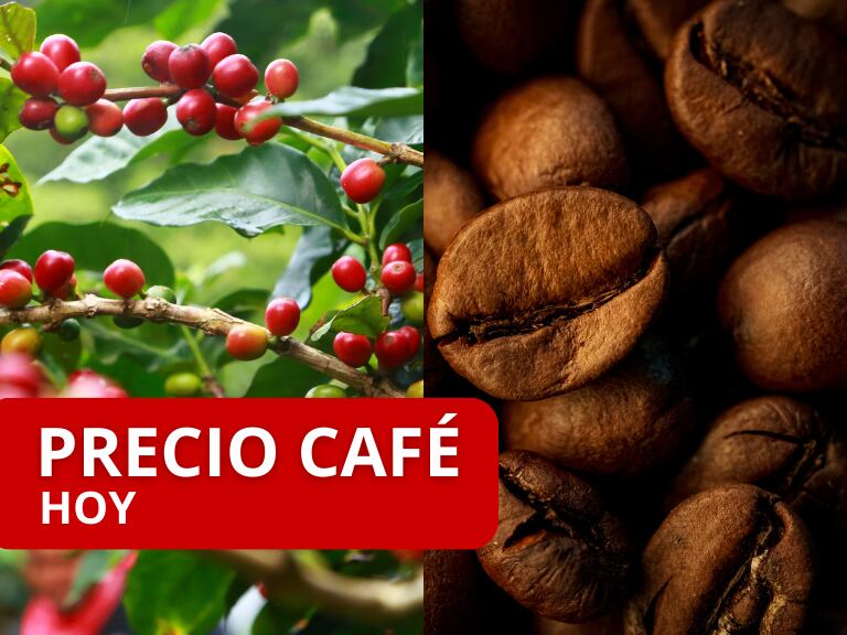 Cultivo de Café // Granos de Café // Precio Café // Getty Images