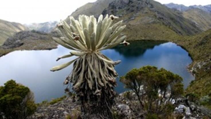 Minambiente satisfecho con la protección de 11.700 hectáreas del Páramo Santurbán