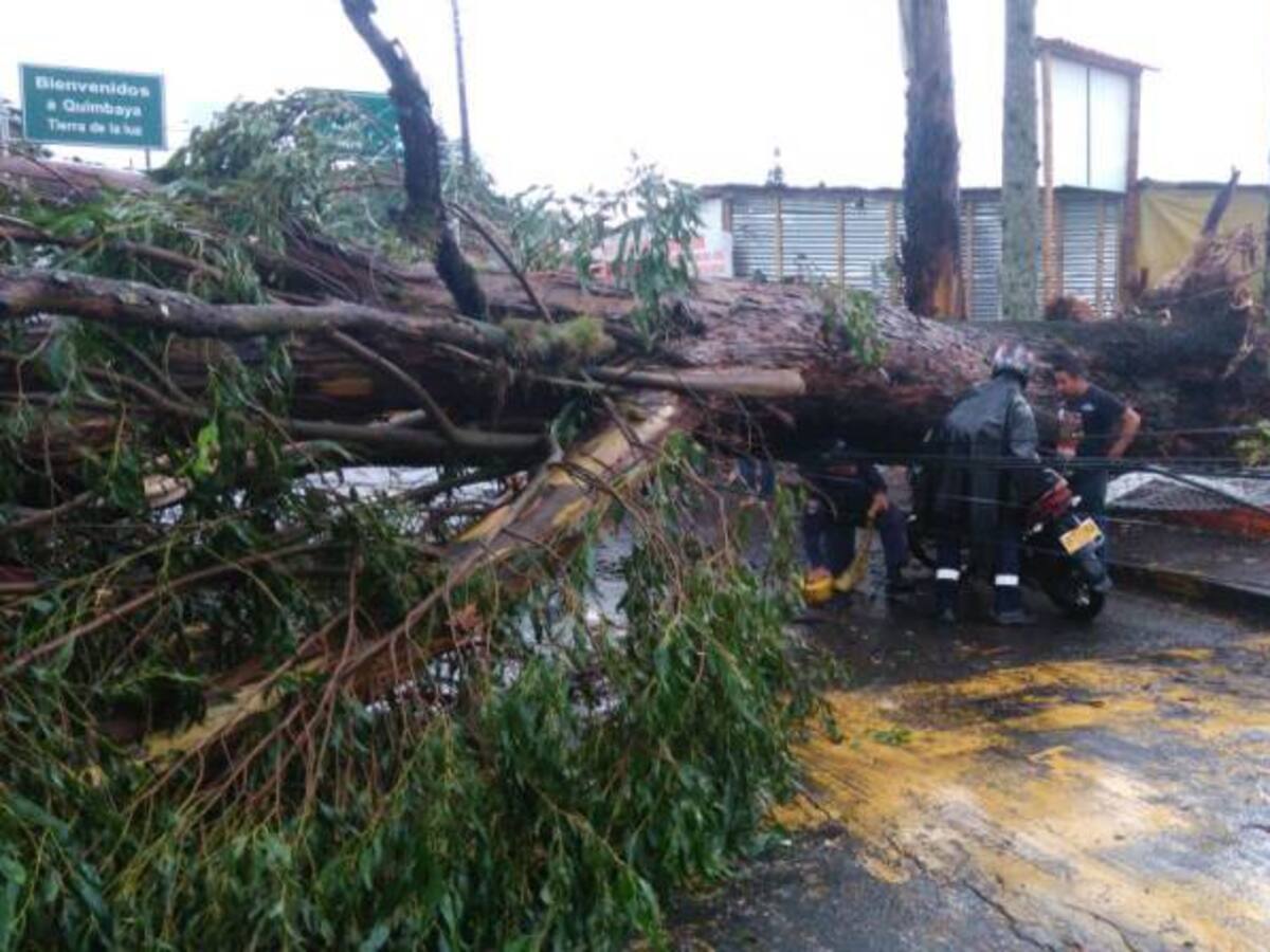 Viviendas destechadas, árboles y postes caídos deja fuerte aguacero en Quindío