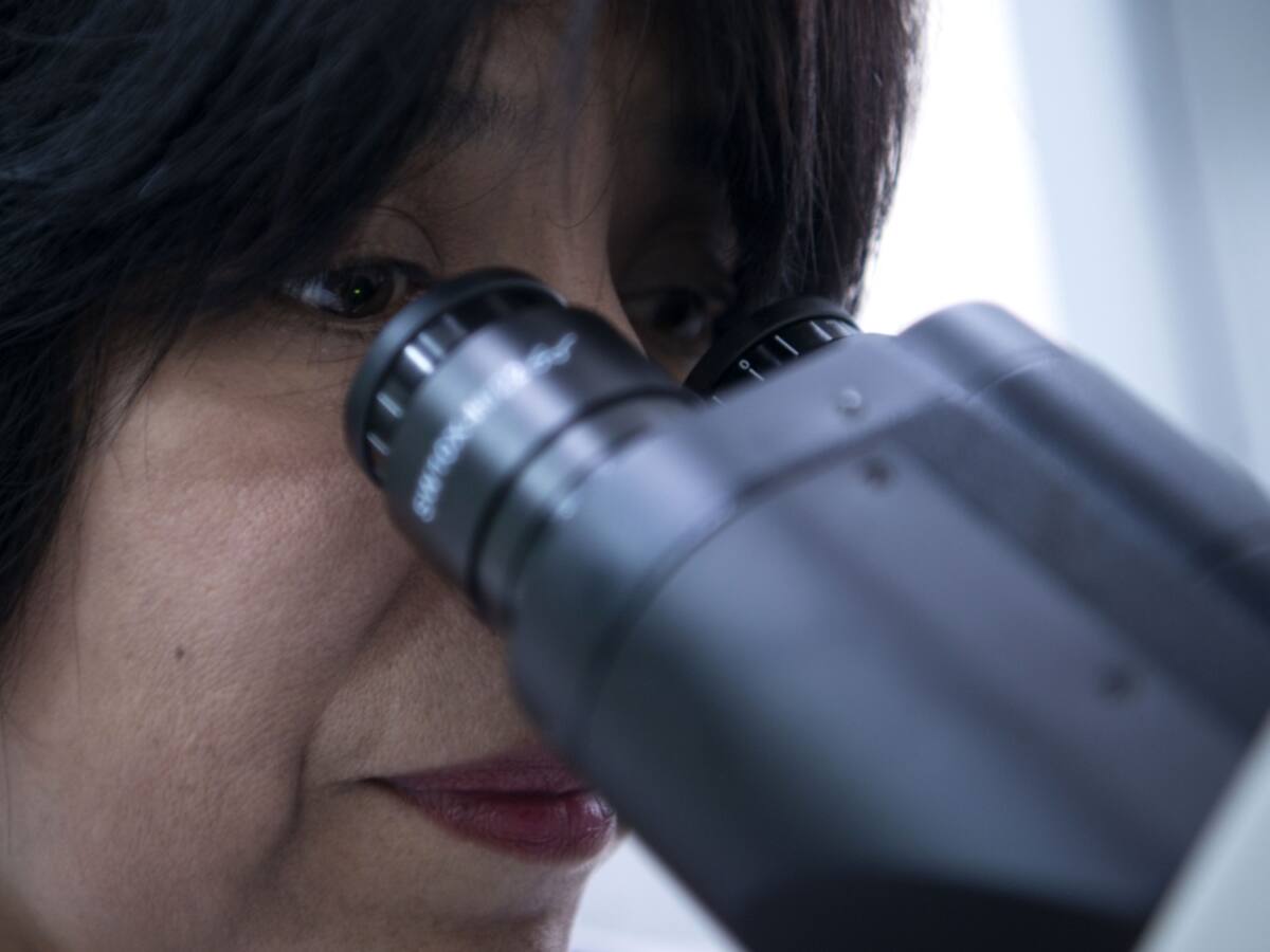 Supuesta modificación genética genera controversia en el mundo