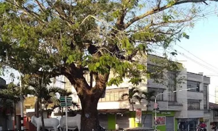 Suspenden la electricidad a la Contraloría de Sincelejo por supuesta deuda del servicio