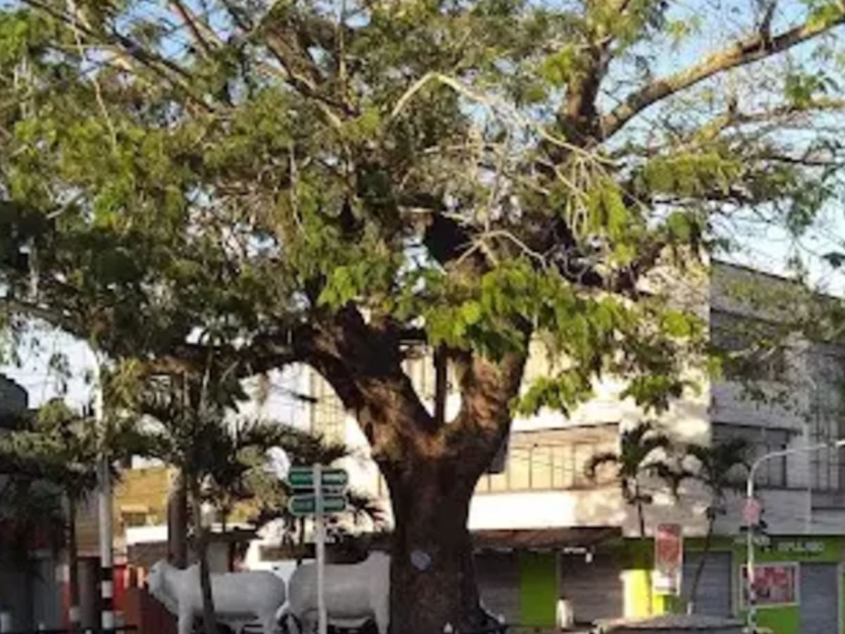 Suspenden la electricidad a la Contraloría de Sincelejo por supuesta deuda del servicio