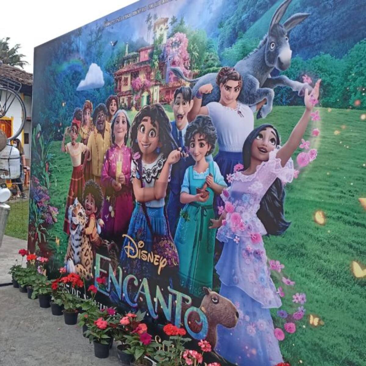 Película Encanto y su Óscar seguirá impulsando el turismo del Quindío
