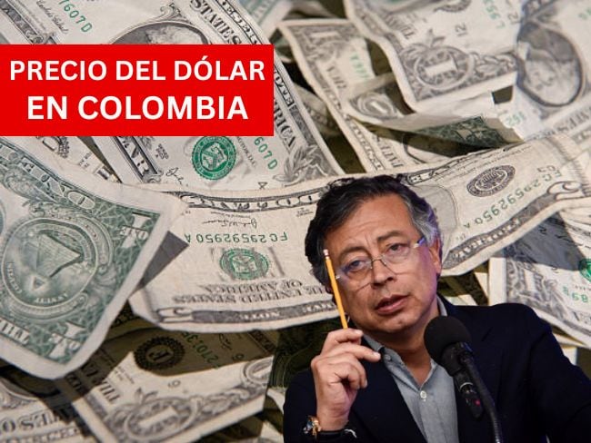 Precio del dólar en Colombia para este 21 de enero de 2026 Foto: Getty Images y Colprensa