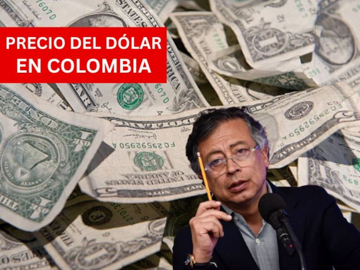 Precio del dólar en Colombia HOY 21 de enero: se presenta una nueva baja, según el Banrep
