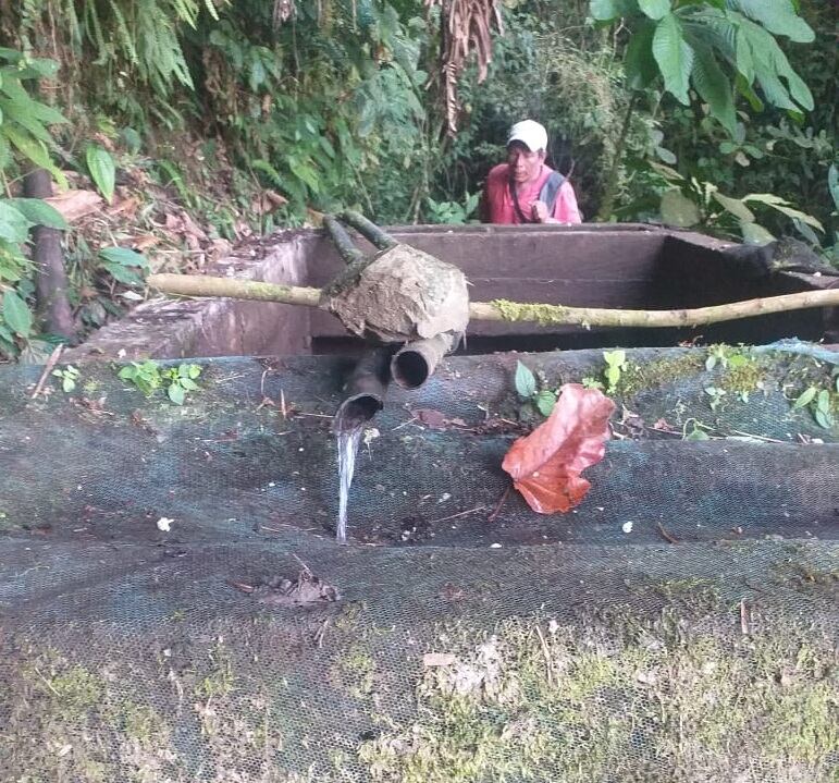 Imagen siministrada por la comunidad Embera Wera de la vereda Kundumí.