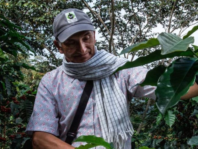 Fondo de estabilización del café beneficiará a 20 mil familias de Risaralda