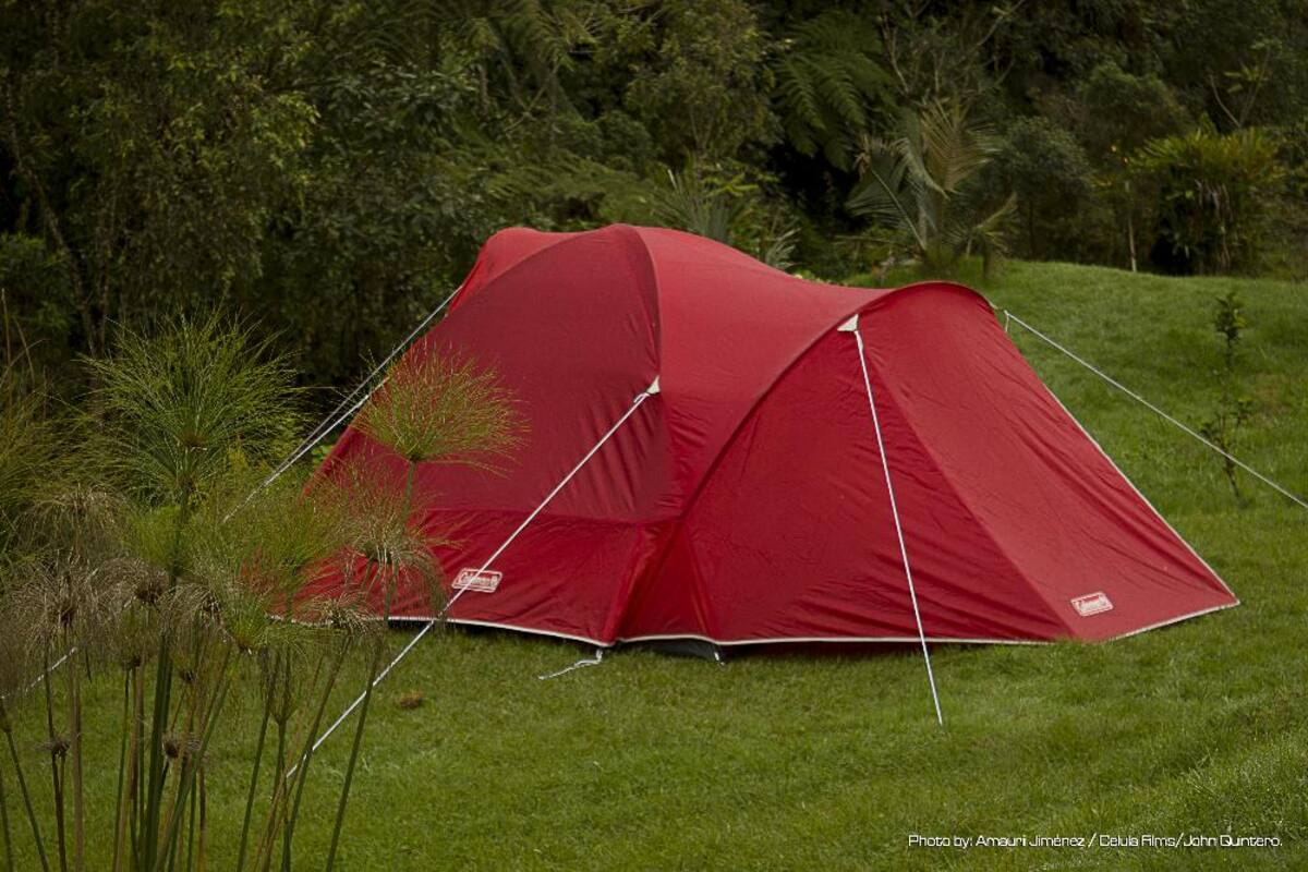 En estas piscinas termales, ubicadas en Santa Rosa de Cabal, se sentirá el placer del calor y las sales naturales; más que entretenimiento proporciona salud y bienestar.