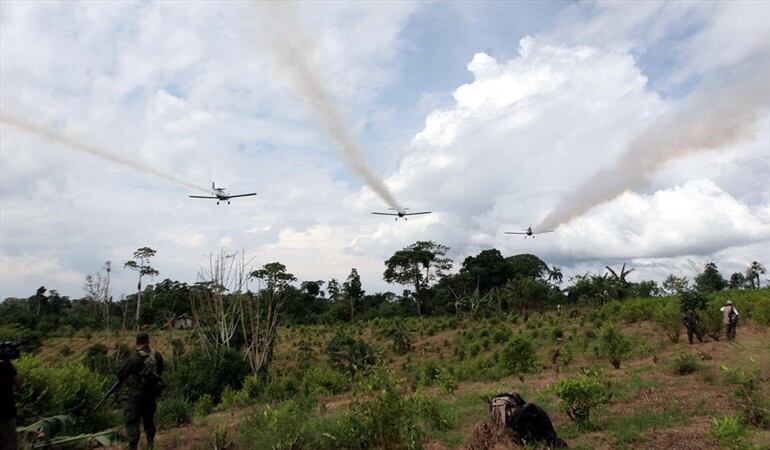 ¿Qué pasaría si no se retoma la aspersión aérea contra cultivos ilícitos?. Foto: Colprensa