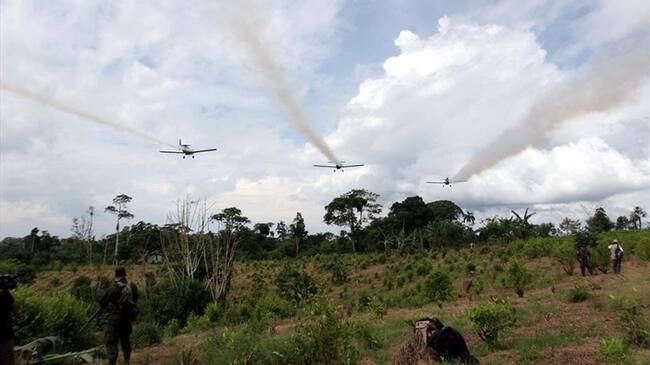 ¿Qué pasaría si no se retoma la aspersión aérea contra cultivos ilícitos?. Foto: Colprensa