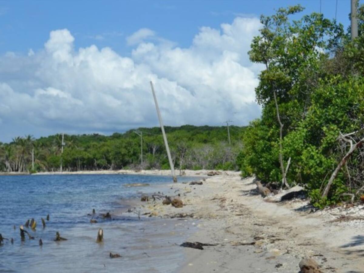 Vía Playeta paralizada y consorcio exigirá $30.000 millones en tribunal de arbitramento