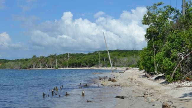 Dumek Turbay se comprometió con 15.000 millones de pesos para la ejecución del proyecto de la vía de Playeta. Foto: Leidys Rivero (W Radio)