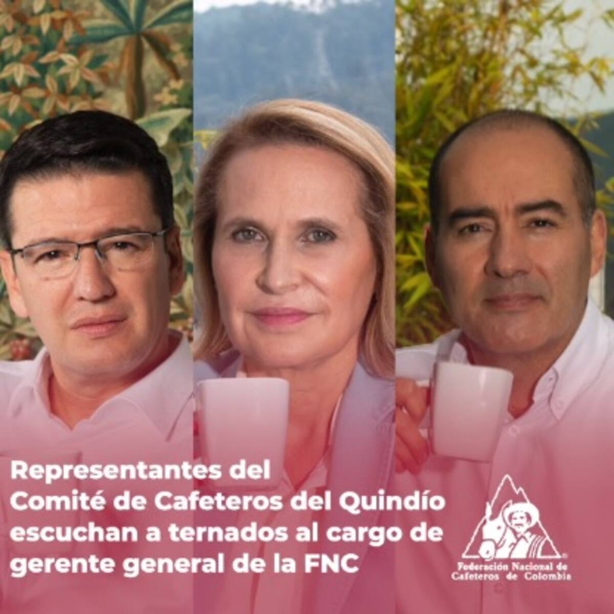 ¿Qué dijeron cafeteros del Quindío sobre propuestas de la terna para gerente de Fedecafé?