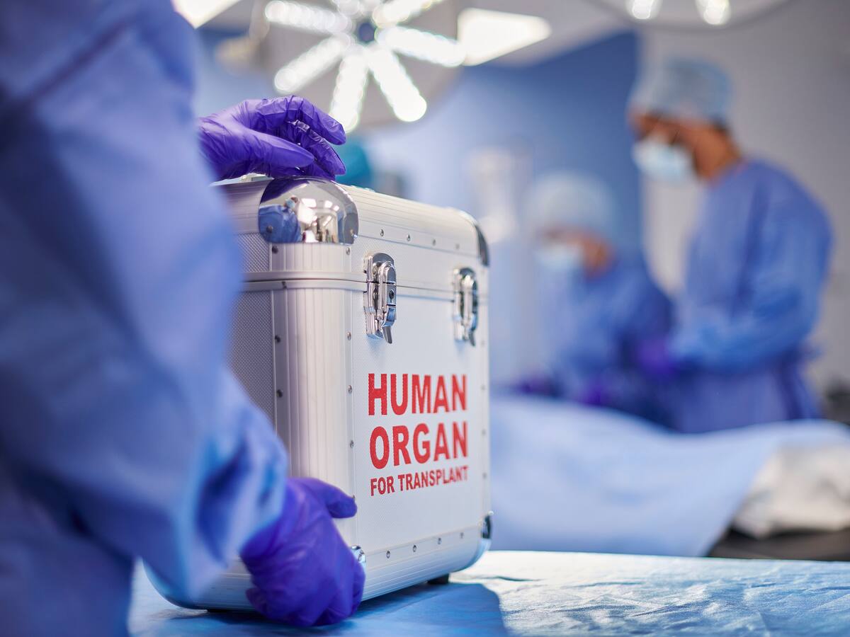 Día Internacional de Trasplantes: Reflexiones sobre los avances en la ley colombiana