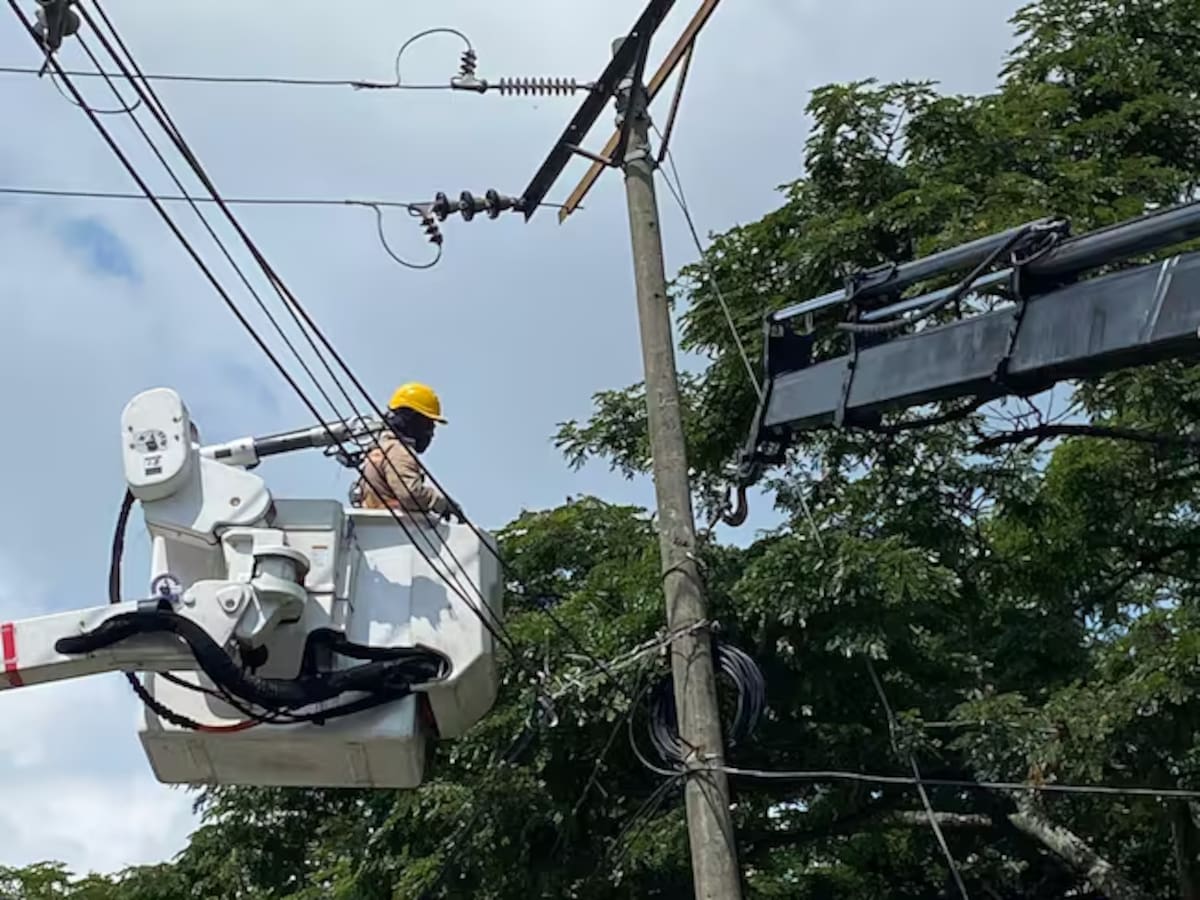 Conozca los sectores de Cali que tendrán suspensión de servicios y reparaciones hoy jueves 18