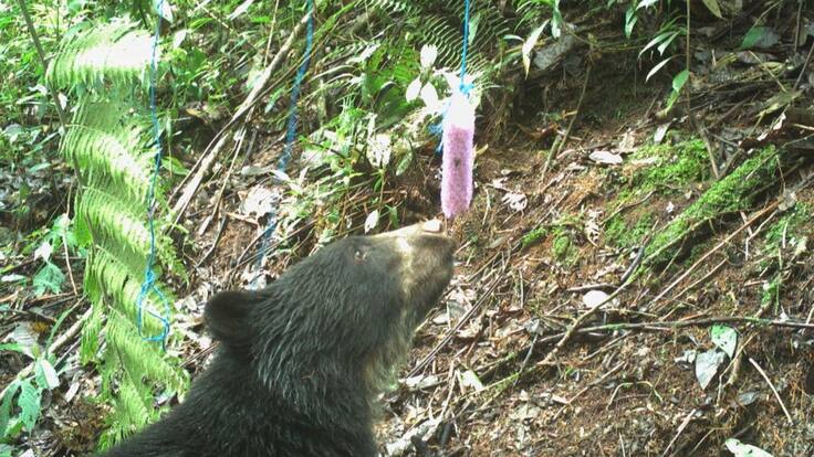 Restaurando la naturaleza para alimentarte