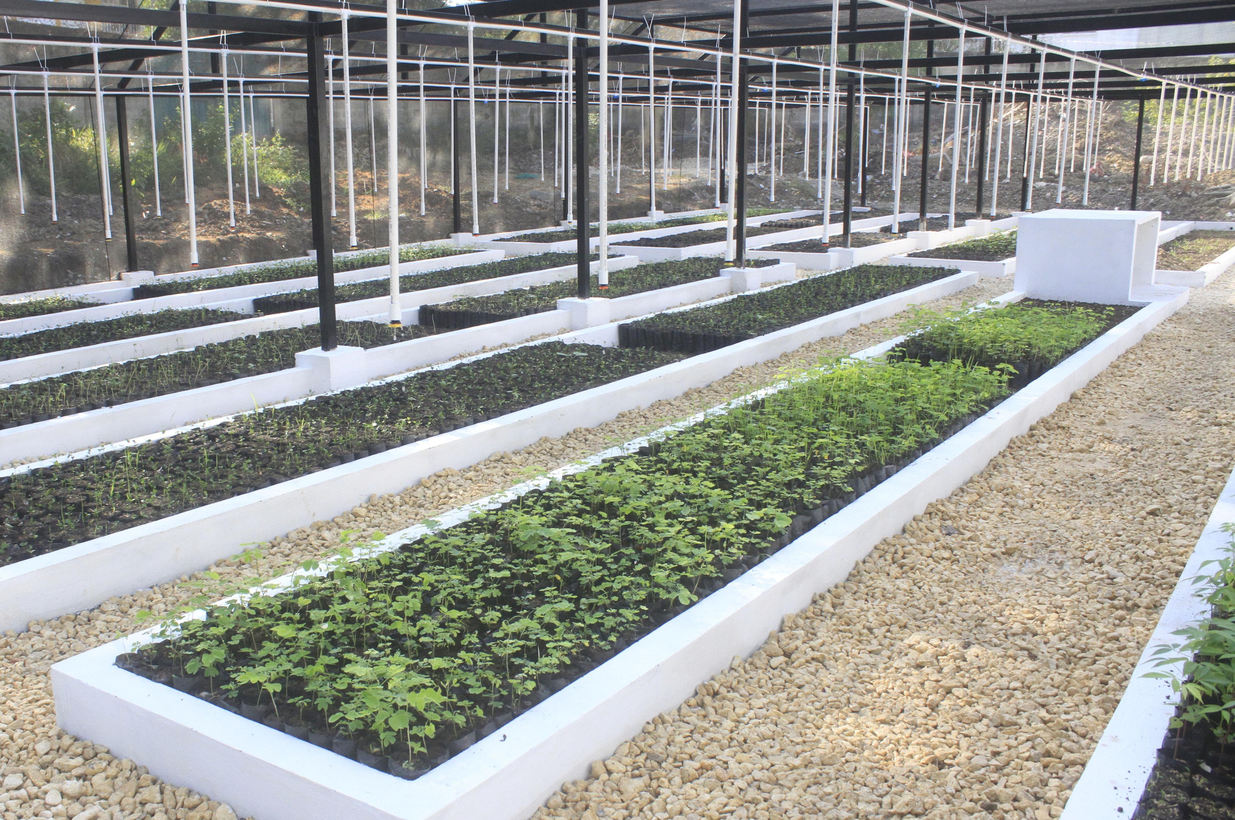 Alcaldía de Cartagena