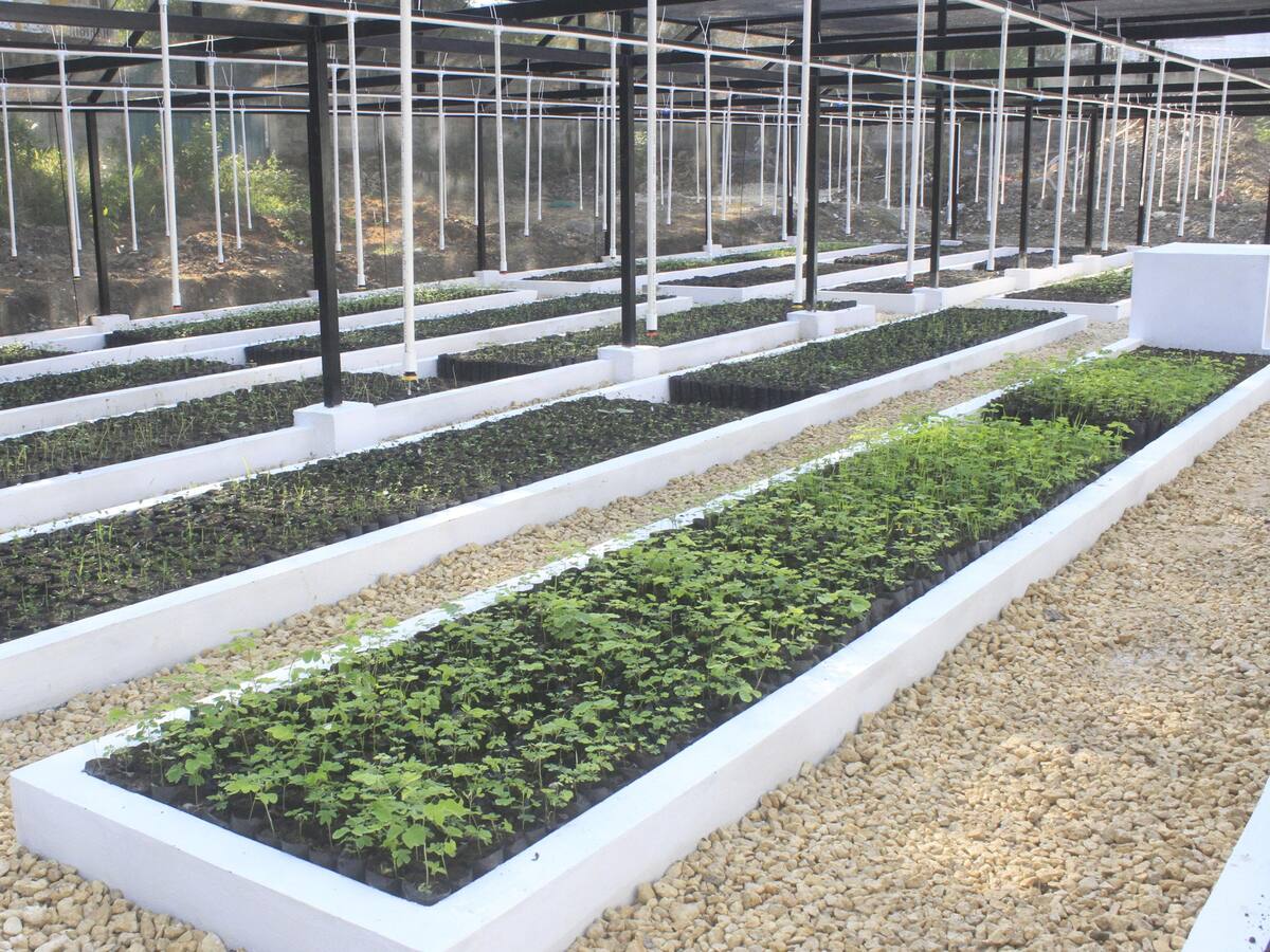 Cartagena tiene el primer vivero bioclimático público de la ciudad