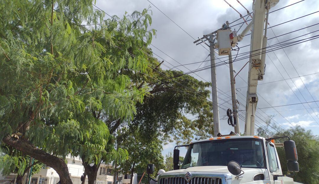 Mantenimientos en redes eléctricas 