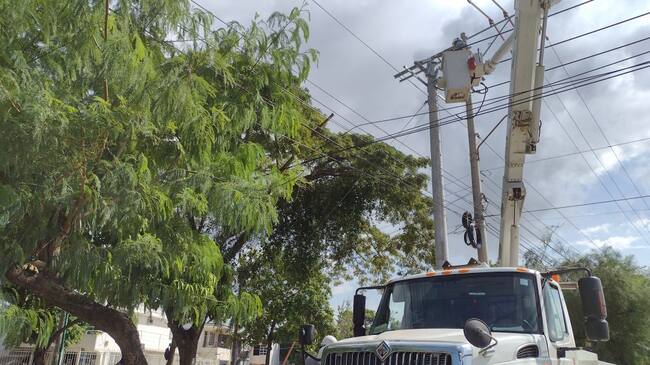 Mantenimientos en redes eléctricas
