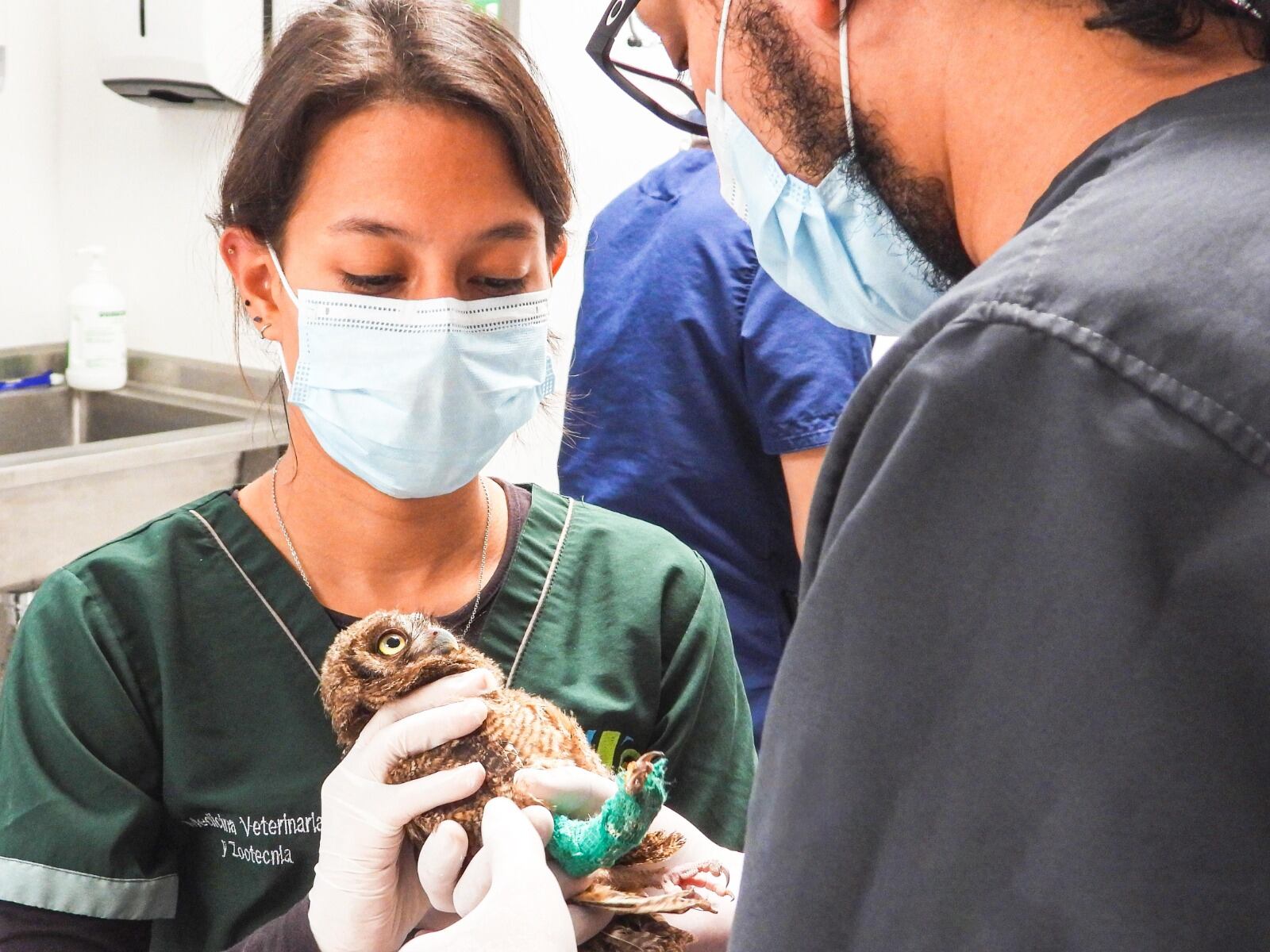 Foto: Área Metropolitana del Valle de Aburrá.