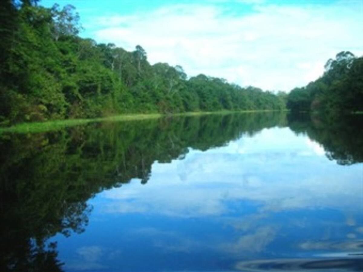 Indígenas protestan contra construcción de represa en la Amazonía
