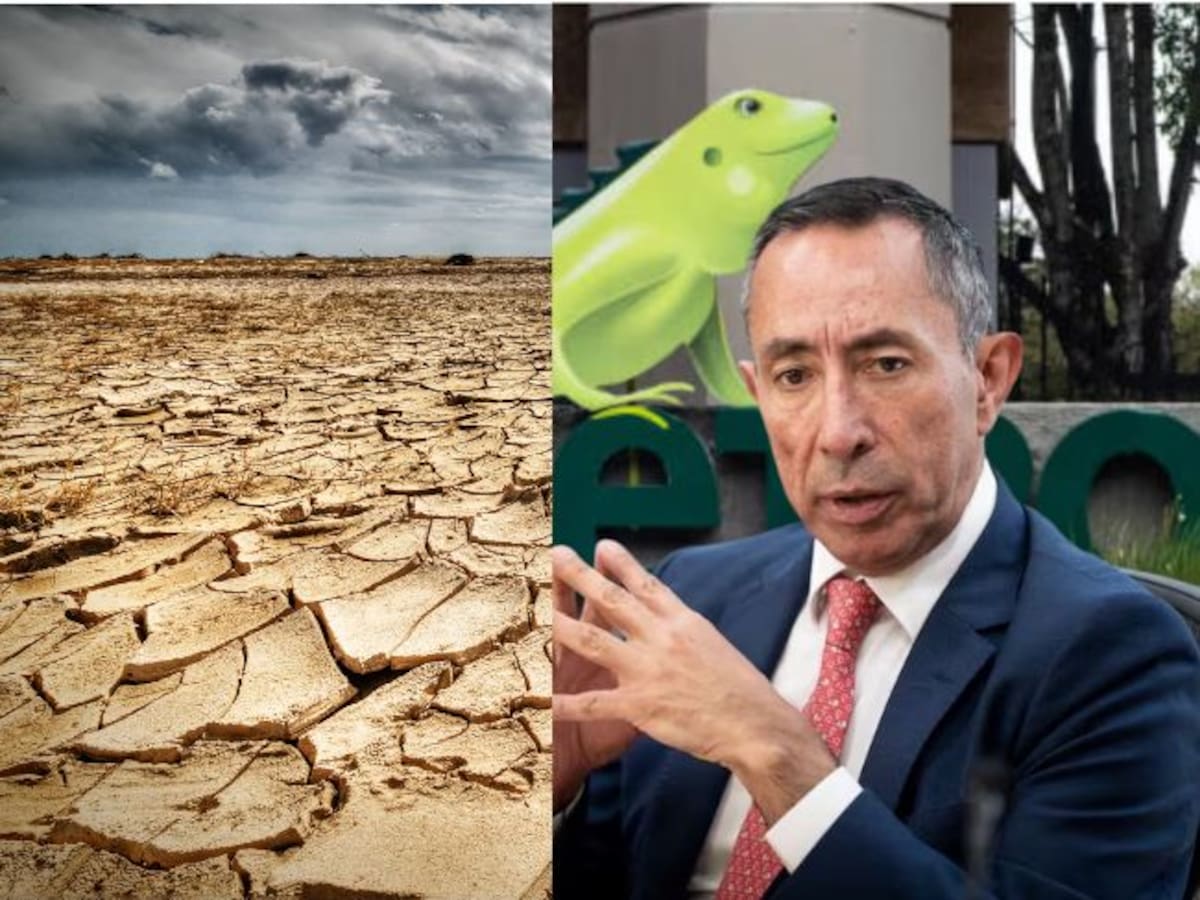 Los riesgos del fenómeno de El Niño y la salida de Ricardo Roa de Ecopetrol