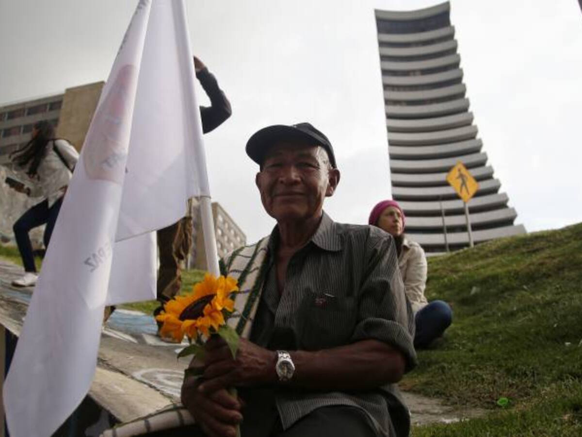 La marcha de las flores a través de las redes sociales