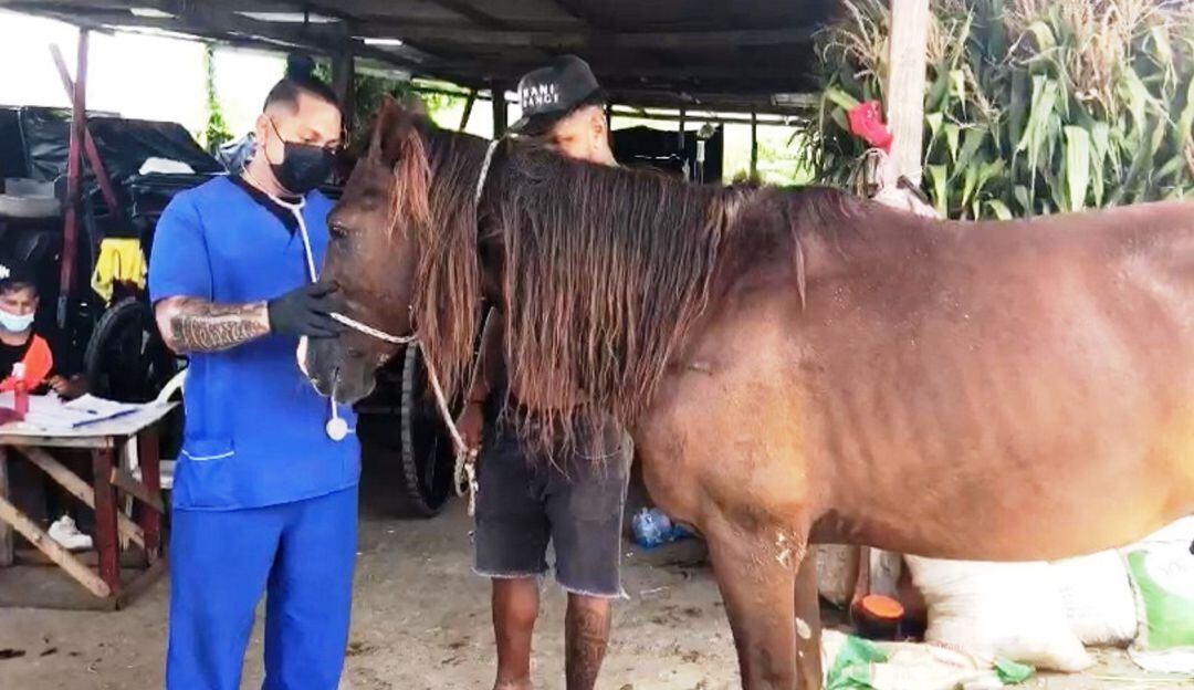 En respuesta inicial a requerimiento de la Procuraduría por control a esta clase de animales