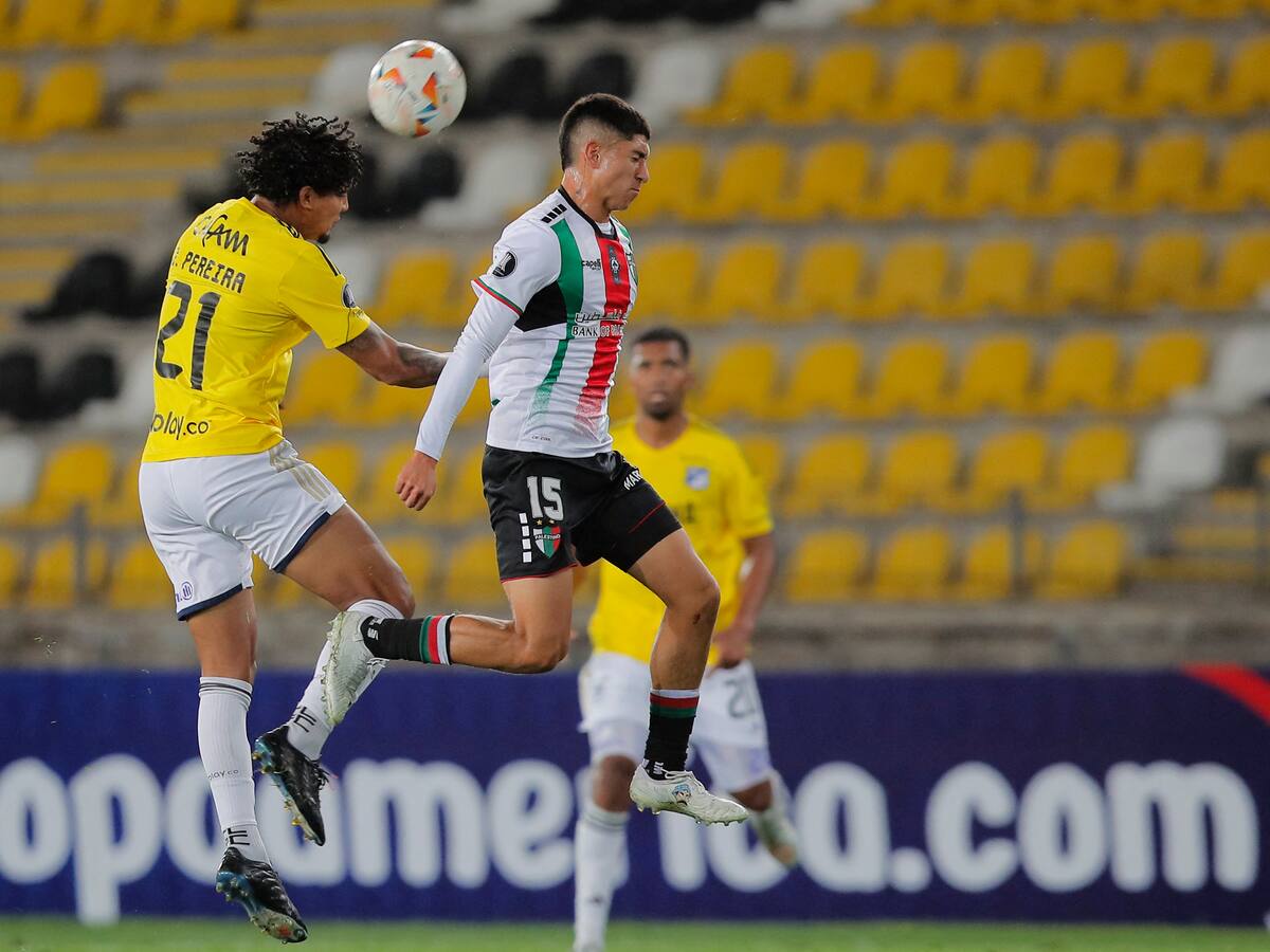 Millonarios se juega sus restos en Copa Libertadores frente a Palestino en Bogotá