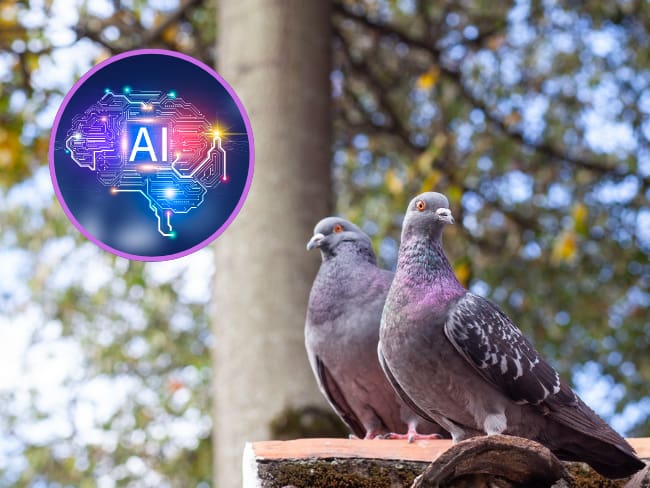 Palomas/Inteligencia Artificial (Getty Images).